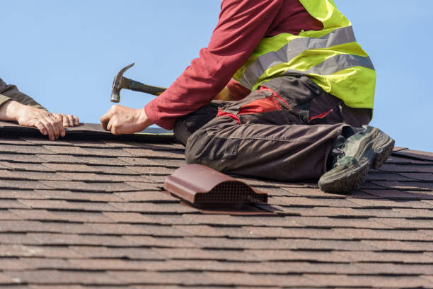 Best Roof Gutter Cleaning  in Woodfield, SC