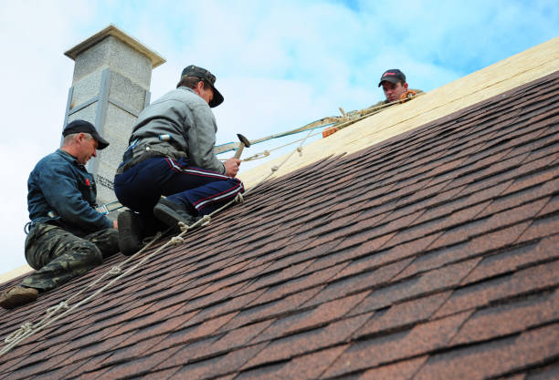 Best Storm Damage Roof Repair  in Woodfield, SC